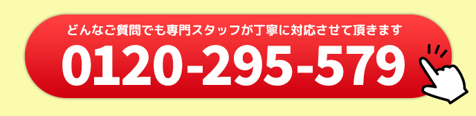 0120-295-579