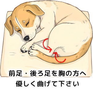 前足・後ろ足を胸の方へ優しく曲げて下さい