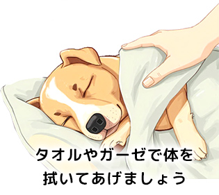 タオルやガーゼで体を拭いてあげましょう