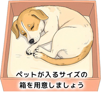 ペットが入るサイズの箱を用意しましょう